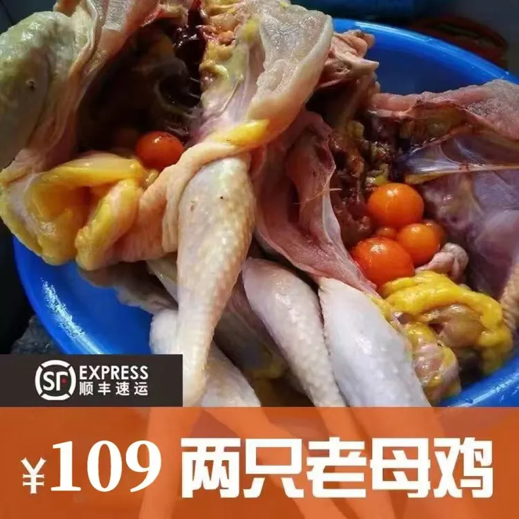 四川农家散养600天老母鸡新鲜宰杀净堂老母鸡