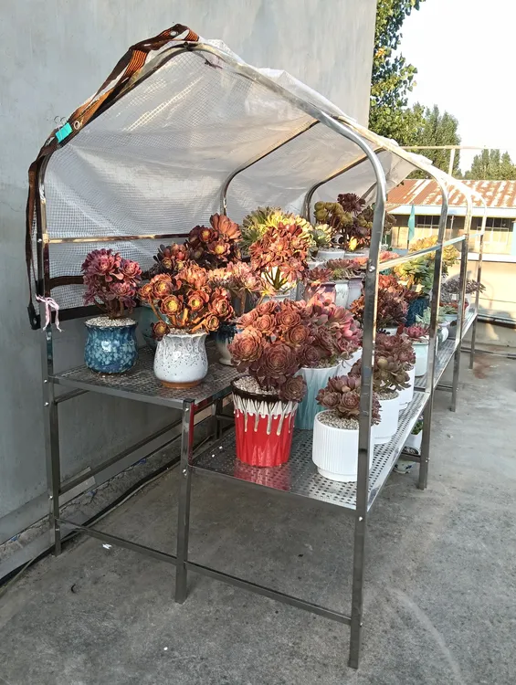 不锈钢花架阶梯多层多肉花架置物架花盆花架庭院户外遮阳花架