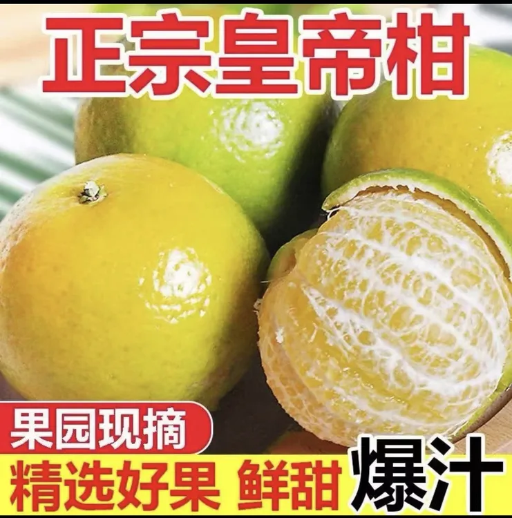 皇帝柑中小果【包邮】