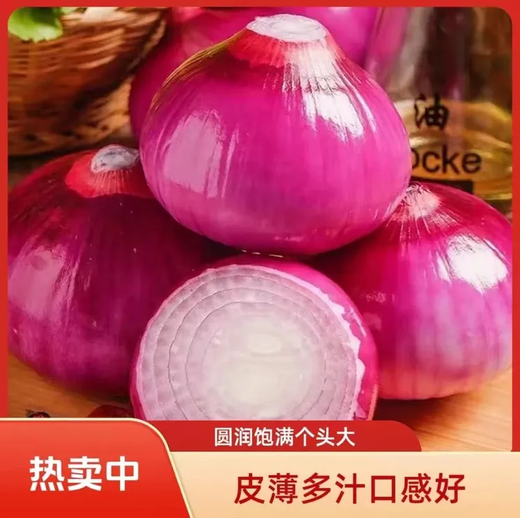 【坏果包赔】农家自种紫皮蔬菜水果洋葱产地直发新鲜可生吃凉拌