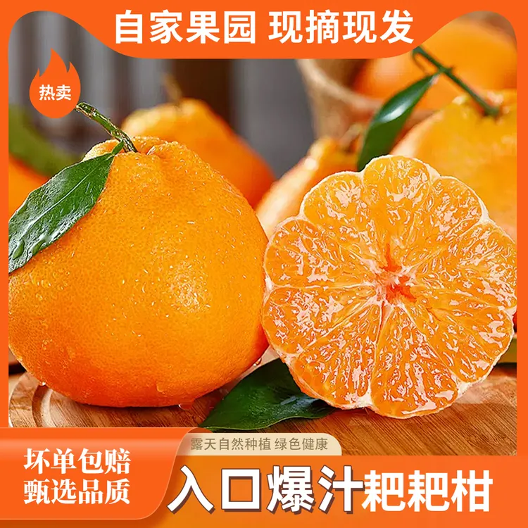 四川耙耙柑爆汁自然熟爽口细嫩维C水果现摘现发孕妇水果丑八怪