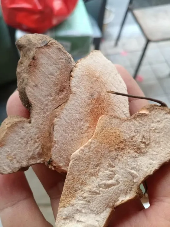 精选山货土茯苓深山野土茯苓片无硫熏