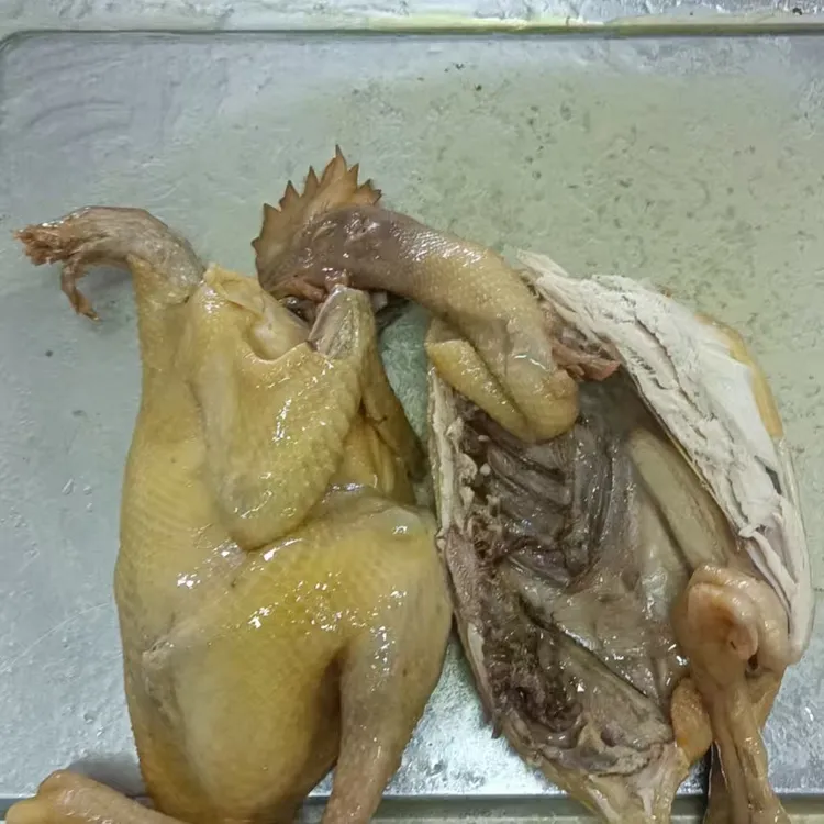 散养长汀河田鸡手撕白切鸡（半只）鸡肉