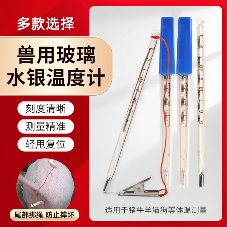 水银体温计兽用高精度测温度计肛门温度计猪牛羊宠物用玻璃温度计