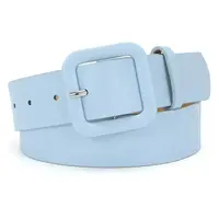 婉君Y 时尚小众设计感女腰带LWJ24A1S393 