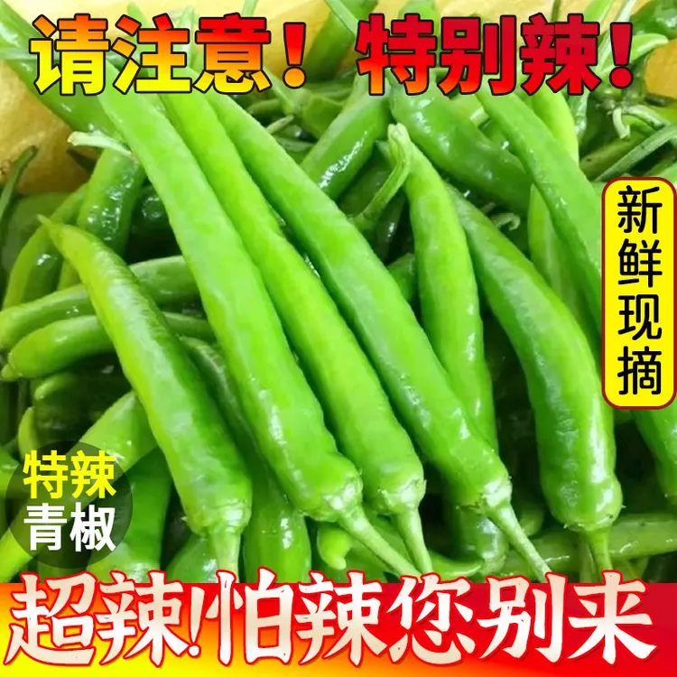 【鲜辣椒】特辣小青椒杭椒尖椒朝天椒线椒螺丝椒小米椒现摘青椒腌制