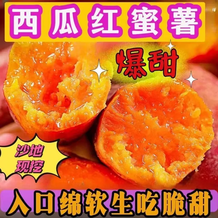 河南开封沙地种植西瓜红红心新鲜糯香甜红薯现挖-净重加网套发货
