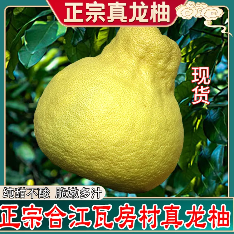 包邮四川泸州特产合江真龙柚纯甜柚子新鲜现摘当季水果非沙田柚子