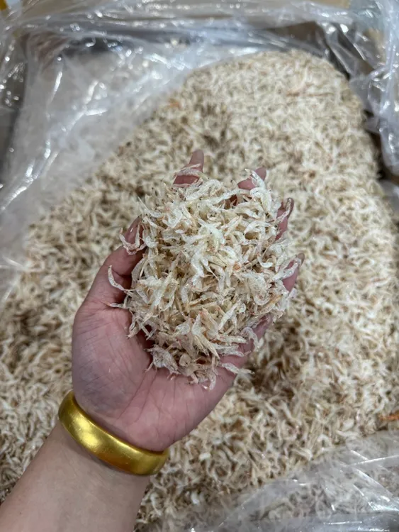 后门本港虾皮本港虾苗