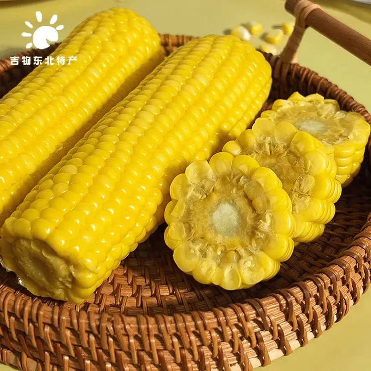 【富硒玉米】东北正宗黄糯玉米 富硒甜糯玉米8根装真空铝袋包装