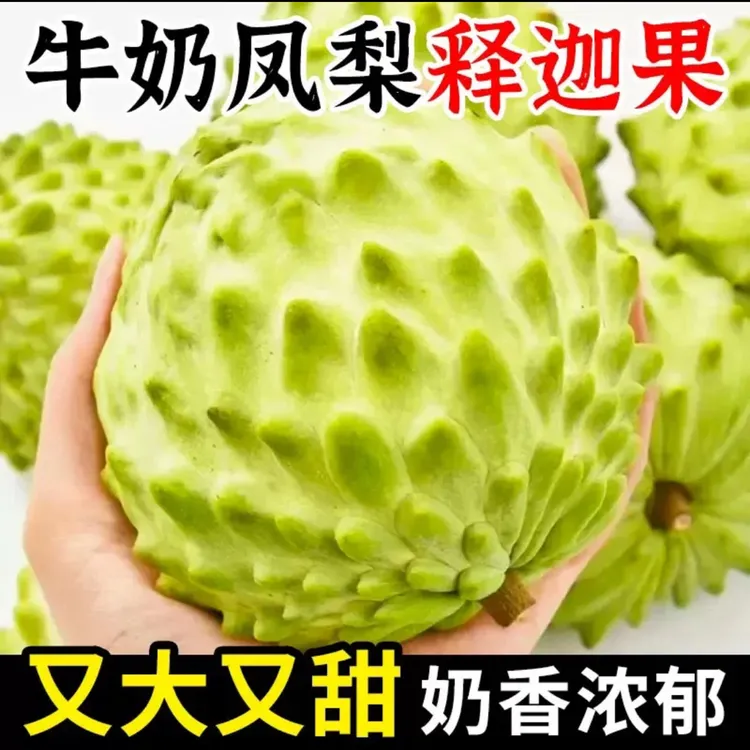 云南高山牛奶释迦果软糯香甜新鲜采摘产地直发