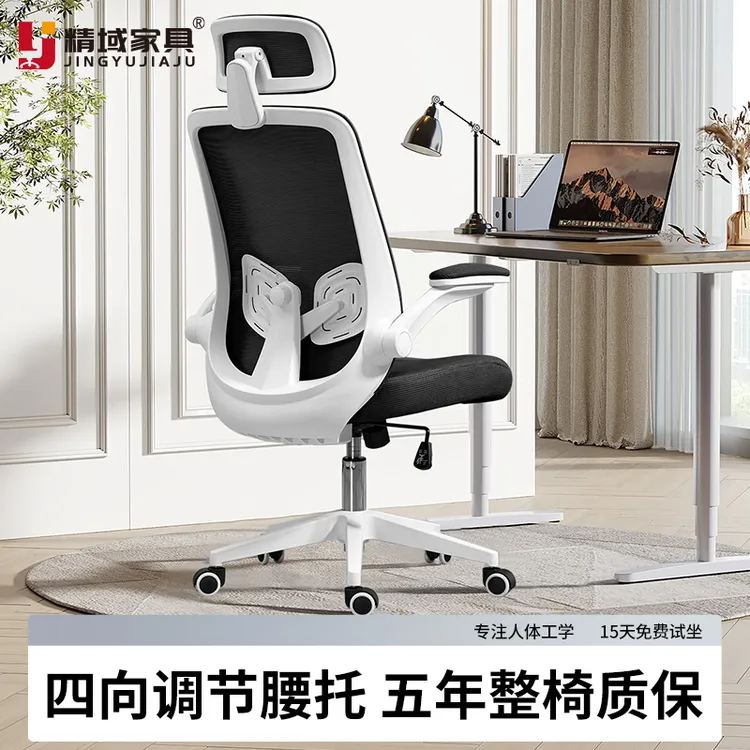 精域电脑椅家用办公椅舒适久坐办公室员工升降电竞椅人体工学椅子