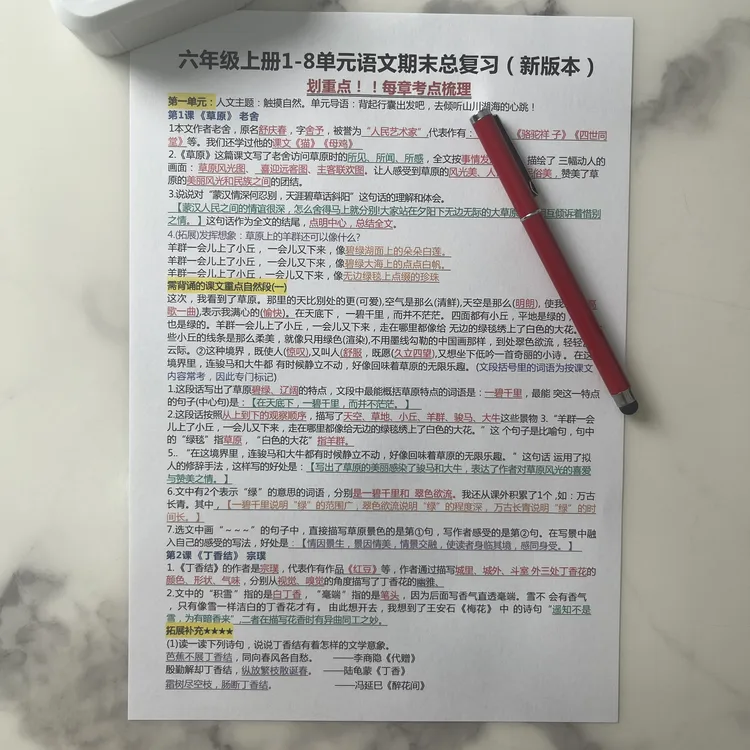 25年六语文上册1-8单元期末总复习划重点！新版本 通用版  23页