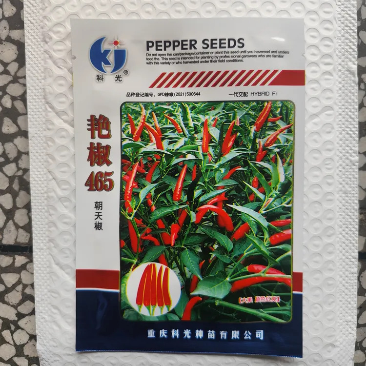 艳椒465辣椒种子科光牌辛辣晚熟朝天椒单生羊角型抗倒伏包邮