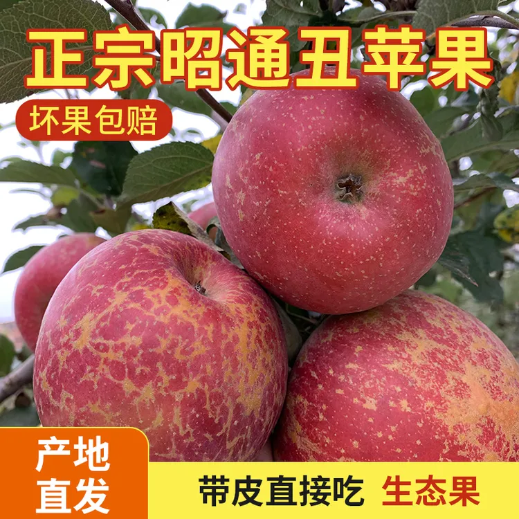 云南昭通应季冰糖心丑大果苹果红露水果脆甜多汁清甜爽脆昭通苹果