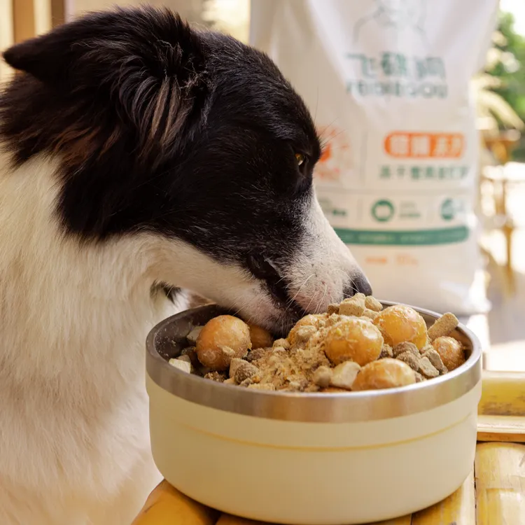 冻干全价通用型狗粮解决挑食软便问题宠物必备犬粮 500g