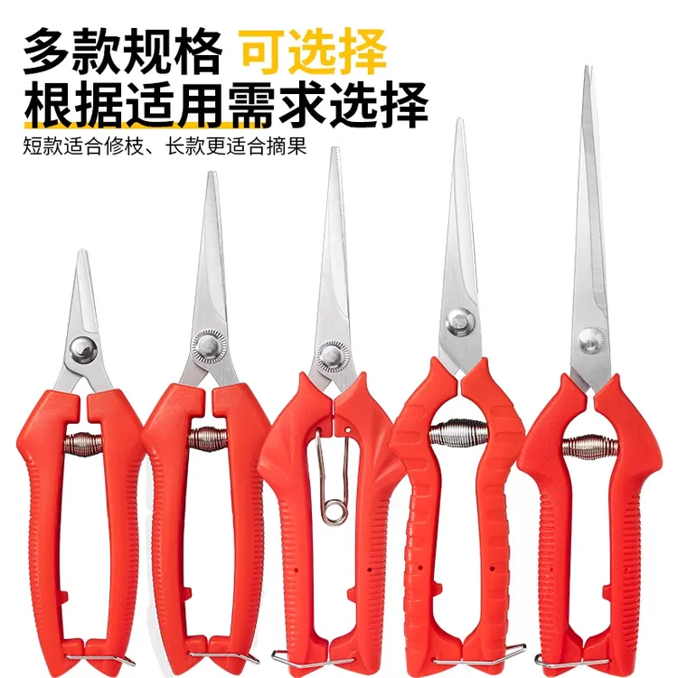 不锈钢水果剪新款子弹簧剪蔬果摘桔子园艺小剪刀修小树枝剪花椒