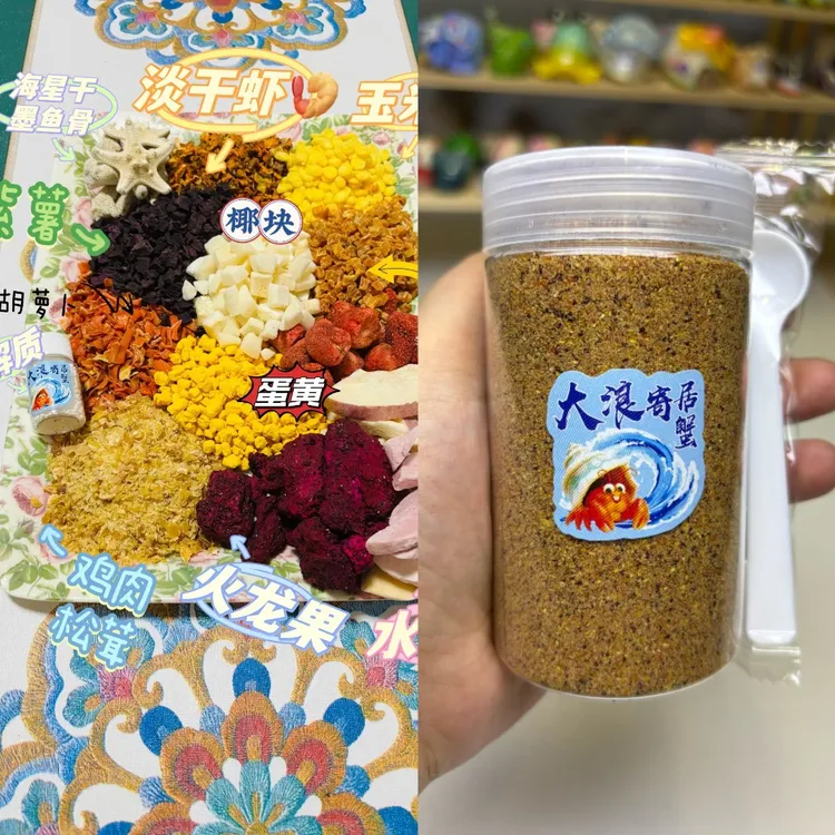 寄居蟹专用综合蟹粮秋冬主食蛋白水果粉末手工粮水果营养粮网格盆