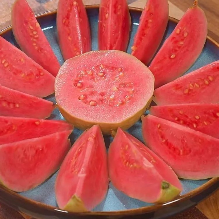 【软糯香甜】广西红心白心新鲜现摘番石榴水果脆甜芭乐