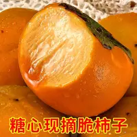 新鲜应季巧克力脆甜柿子大果现摘硬柿子产地直发
