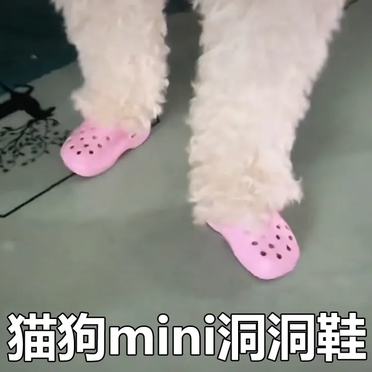 【奶豆同款】搞笑马卡龙色系宠物小狗狗猫咪夏季洞洞鞋凉鞋室内拖鞋