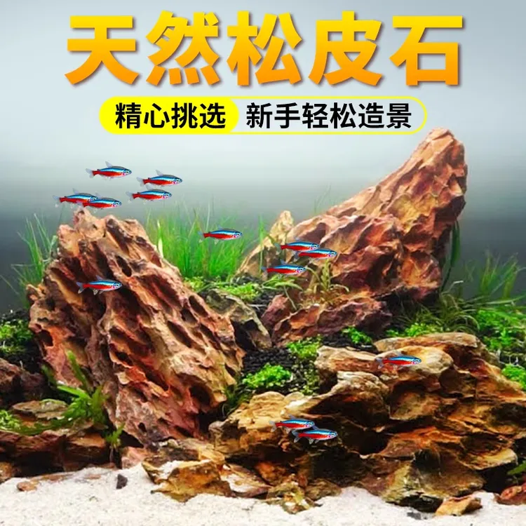 鱼缸造景石假山装饰天然松皮石乌龟晒台生态草缸真石头摆件青龙石