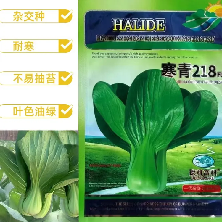 寒青218 杂交耐寒小青菜耐抽苔叶色油绿抗病秋冬春庭院阳台基地种
