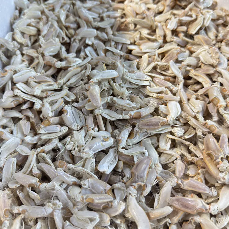 【顺丰包邮】青岛城阳发货，带克虾虎腿，带壳皮皮虾丁大腿小腿都有