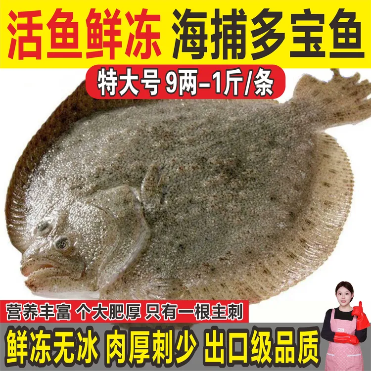 多宝鱼新鲜比目鱼大菱鲆野生海鲜鱼类水产鲜活冷冻海鲜海鱼冰鲜