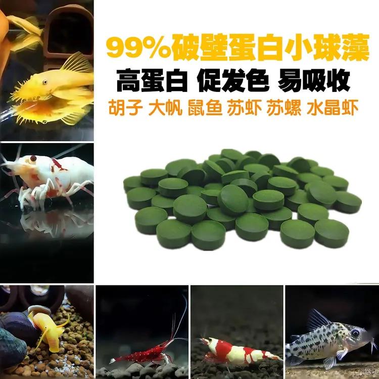 小球藻片胡子大帆异形鱼饲料底栖虾粮熊猫迷宫鼠开口粮清道夫鱼