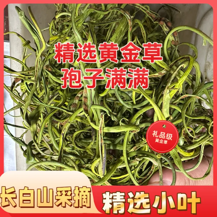 关东茶黄金草石头茶手工采摘50克正宗长白山嗷嗷草母子95%-98%