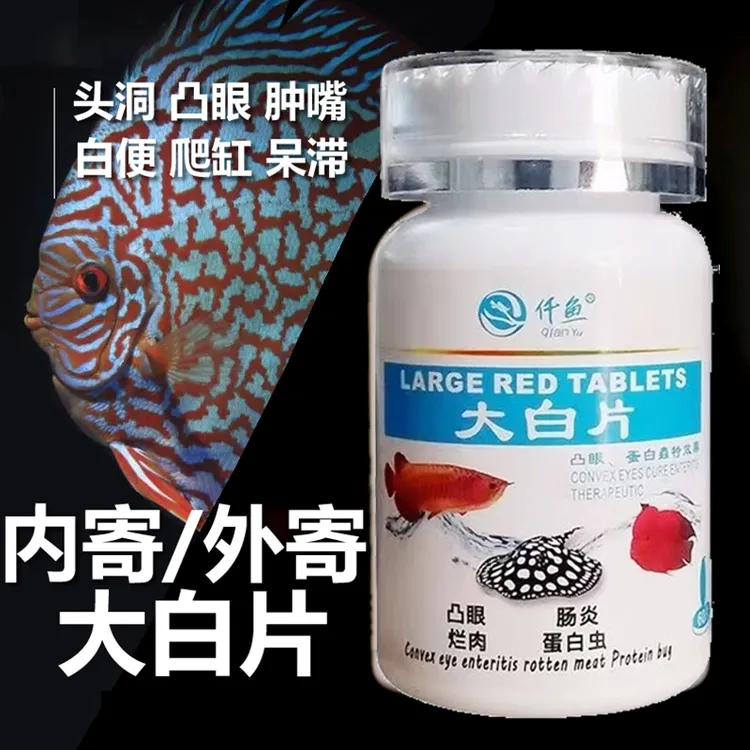 正品大白片观赏鱼治疗内寄头洞腹水肠炎病外寄虫锦鲤鱼非药品