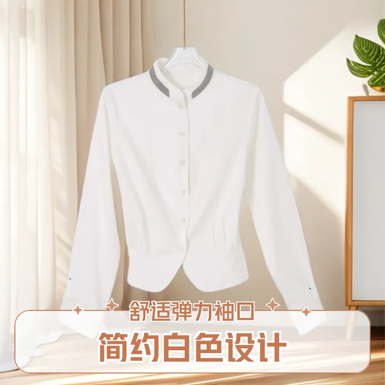 法式气质立领白色衬衫女2025秋季新款设计感小众修身显瘦长袖上衣