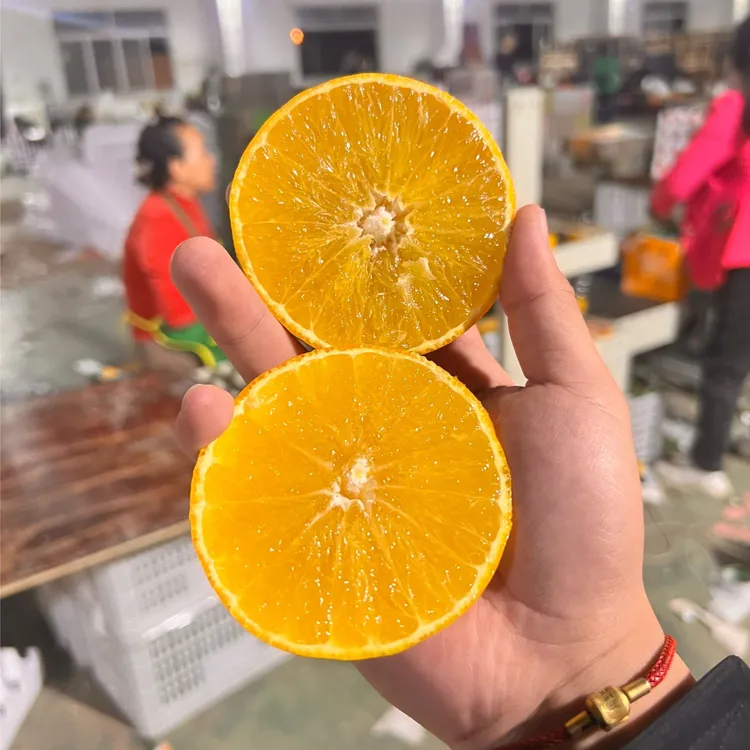四川爱媛38号果冻橙新鲜应季爆甜多汁现摘现发
