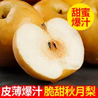 ..烟台莱阳秋月梨新鲜冰糖梨当季水果生梨现摘整箱超甜大果皮薄