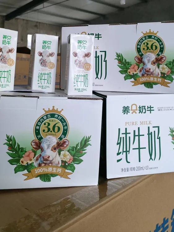 养只奶牛内蒙古黄金奶源3.6高蛋白纯牛奶