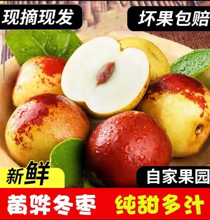 【顺丰包邮】黄骅鲜冬枣脆甜可口即食冰糖冬枣现摘现发自家果园
