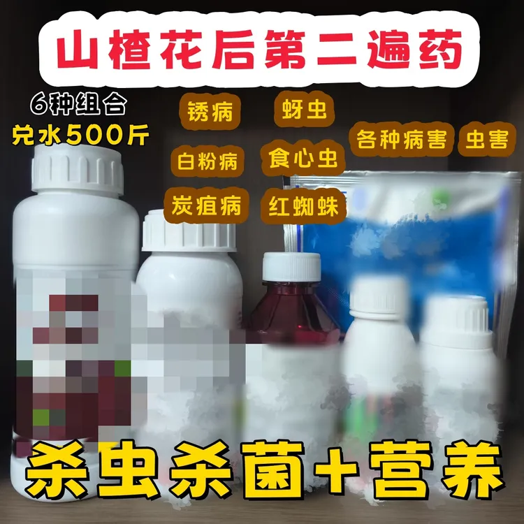 山楂花后病虫害防治 6种组合兑水500斤锈病白粉食心虫红蜘蛛