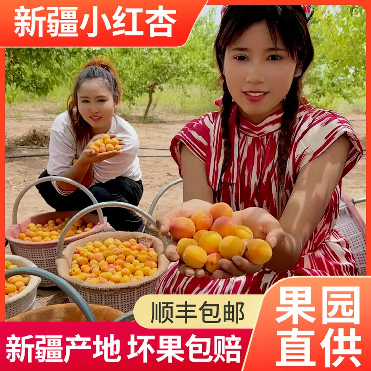 新疆头茬小红杏软糯香甜当季新鲜水果3-5斤