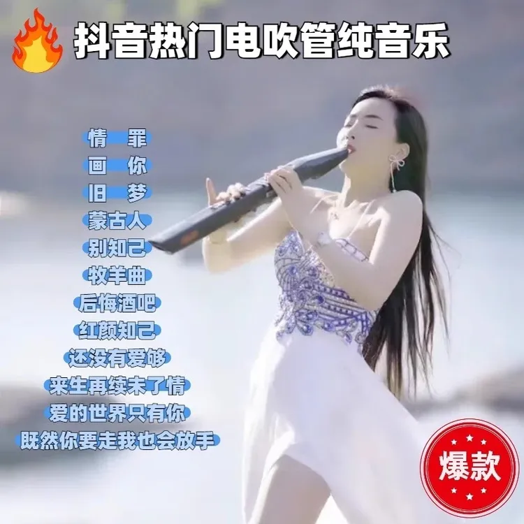 车载电吹管纯音乐u盘情罪抖音热门精选电吹管纯无损音乐优盘