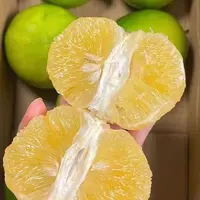 【精品'颗颗爆汁】顺丰/京东直发/泰国品种翡翠葡萄柚柚精选大果