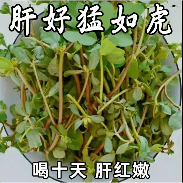 【重度肝损】尿黄屁多口苦口臭指甲竖纹肝火旺鱼腥草薤白茶泡水饮品