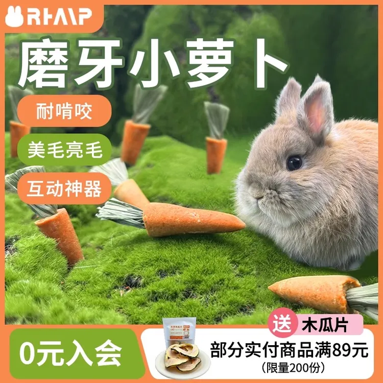 新品 磨牙提草小萝卜 兔子磨牙棒龙猫豚鼠提摩西草胡萝卜磨牙零食