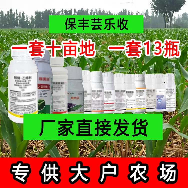 玉米专用叶面肥糖醇锌腐殖酸科学配比一遍控旺