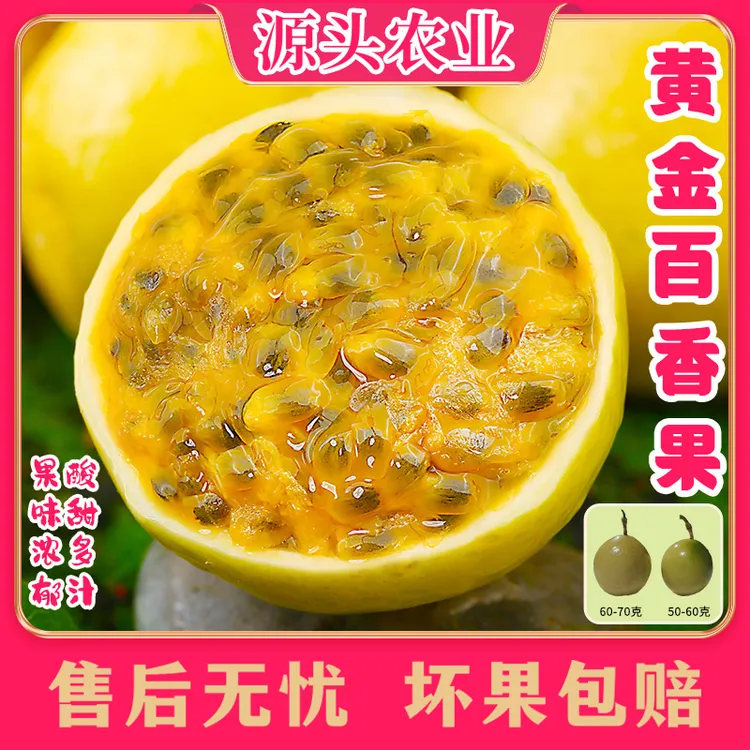 【放皱更甜】黄金百香果钦蜜9号送开果器17个装 S