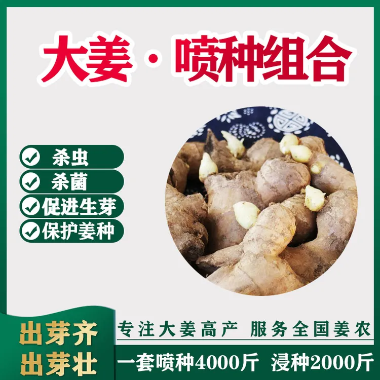 大姜喷种组合1套 可喷种可浸种