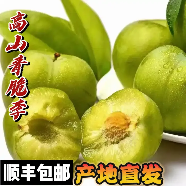 【顺丰包邮】四川阿坝茂县高山青脆李脱骨李新鲜上市四川特产