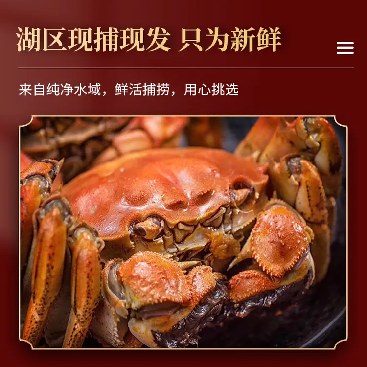 固城湖大闸蟹6-10只精品礼盒装3.5两全公蟹顺丰包邮