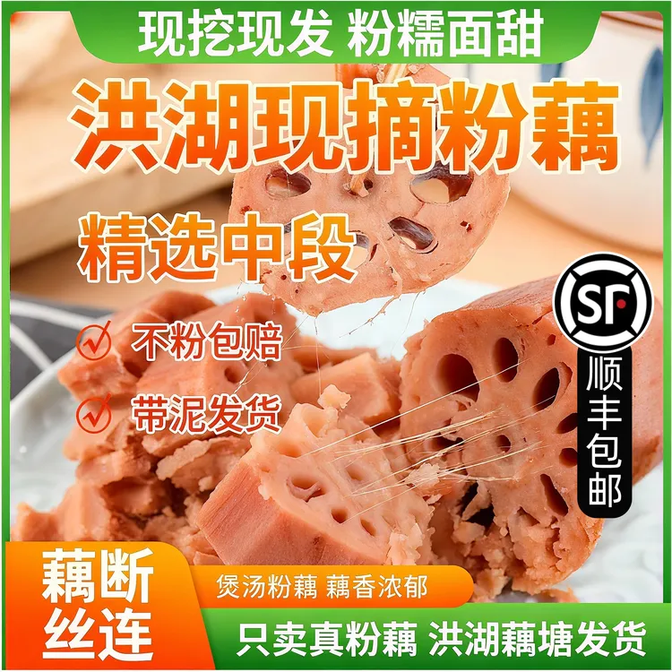 【可选顺丰】湖北洪湖莲藕新鲜现挖现发煲汤粉藕精选中段农家特产