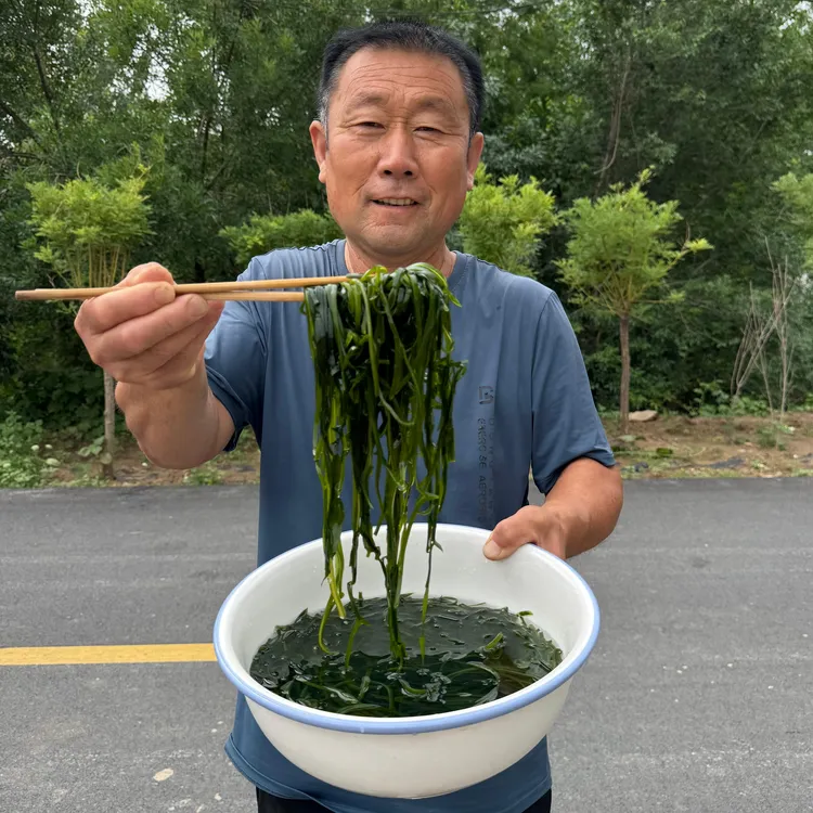 【三姐专属】2025新烘干海带丝